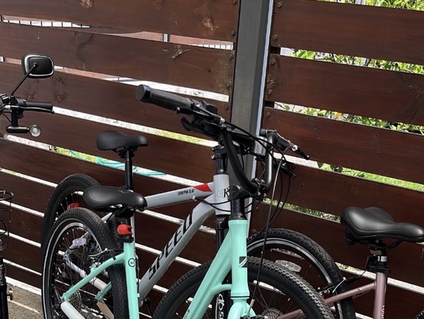 Bicicleta verde agua de una clienta, junto a otras bicis
